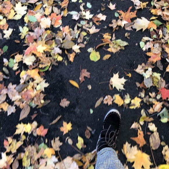 Meet your Posher, Lena - Picture 1 of 1